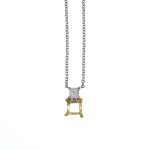necklace for FR685