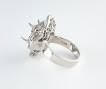 DIA PLAT RING MOUNTING - Image 2