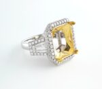 18KW DIA RING MOUNTING - Image 3